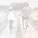 bikes